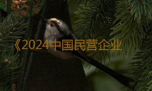 《2024中国民营企业500强调研分析报告》出炉 粤企分别居第一名、第二名、第四名