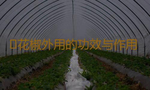 ​花椒外用的功效与作用有哪些