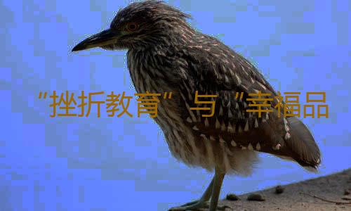 “挫折教育”与“幸福品质”