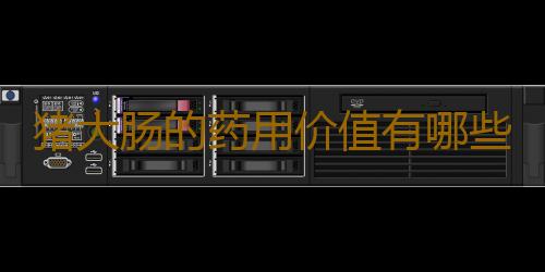 猪大肠的药用价值有哪些