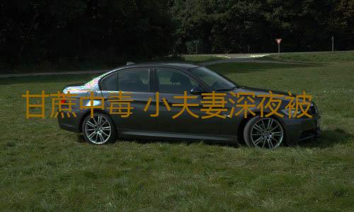 甘蔗中毒 小夫妻深夜被毒倒只因吃这东西