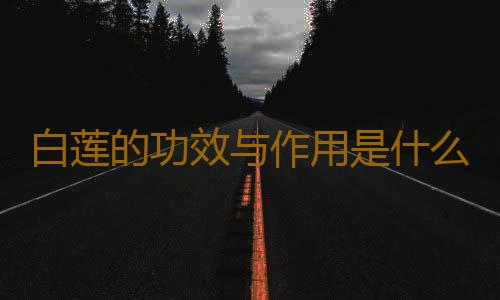 白莲的功效与作用是什么