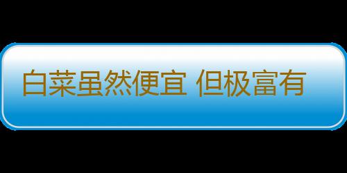 白菜虽然便宜 但极富有营养！