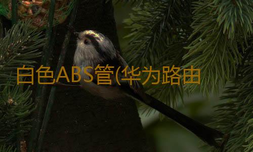 白色ABS管(华为路由 Q6子母路由三链路高效组网，轻松实现全屋WiFi信号覆盖)