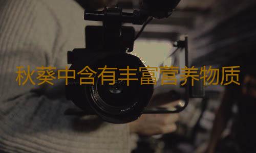 秋葵中含有丰富营养物质 多吃秋葵保护肝脏减肥补肾