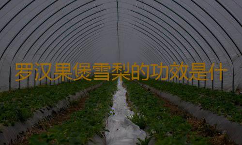 罗汉果煲雪梨的功效是什么