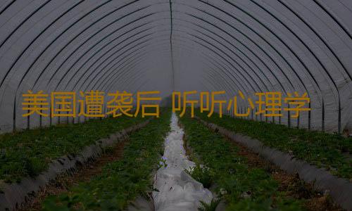 美国遭袭后 听听心理学家的建议