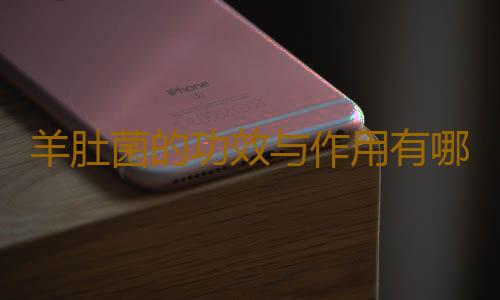 羊肚菌的功效与作用有哪些