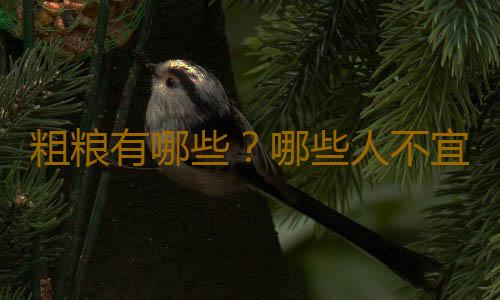 粗粮有哪些？哪些人不宜吃粗粮？粗粮食用禁忌