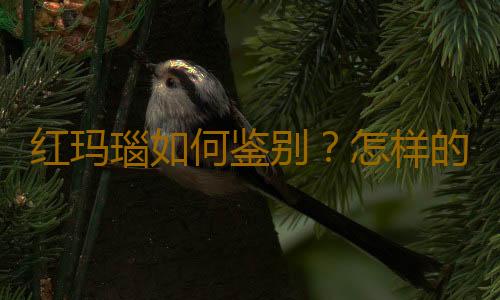 红玛瑙如何鉴别？怎样的红玛瑙才好？