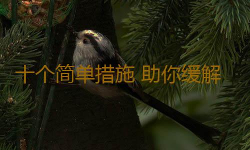 十个简单措施 助你缓解压力