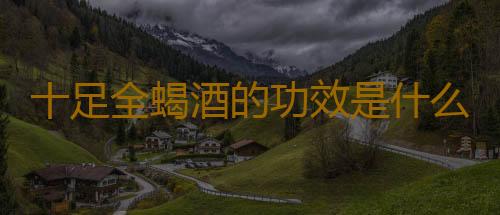 十足全蝎酒的功效是什么