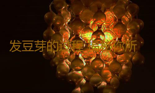 发豆芽的过程 揭秘你所不知的毒豆芽生产黑幕
