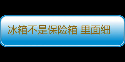 冰箱不是保险箱 里面细菌更可怕