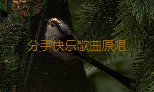 分手快乐歌曲原唱