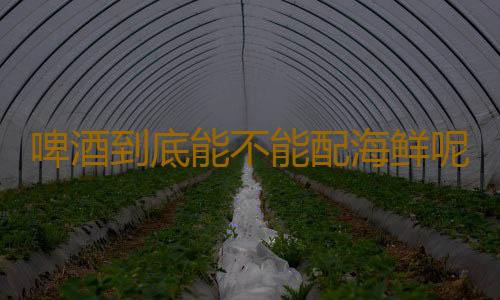 啤酒到底能不能配海鲜呢