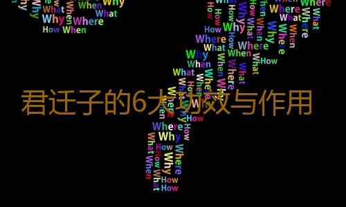 君迁子的6大功效与作用 最适合免疫力低下的人群