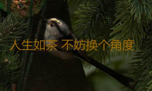 人生如茶 不妨换个角度看世界