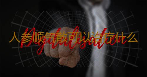 人参顺气散可以治疗什么病