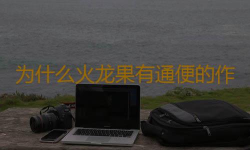 为什么火龙果有通便的作用呢