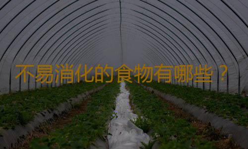 不易消化的食物有哪些？最难消化食物怎么吃