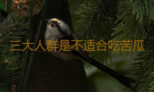 三大人群是不适合吃苦瓜