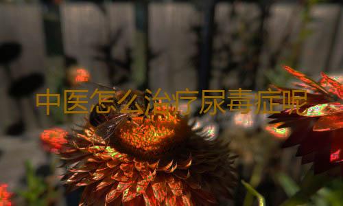 中医怎么治疗尿毒症呢