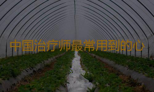 中国治疗师最常用到的心理疗法