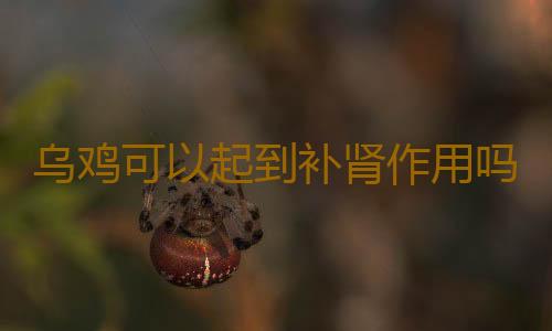 乌鸡可以起到补肾作用吗