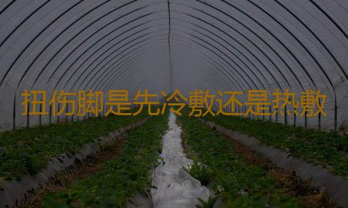 扭伤脚是先冷敷还是热敷 不同关节扭伤处理方法不同