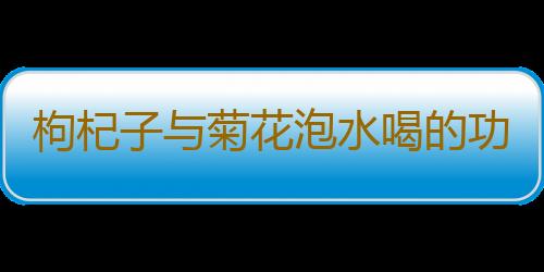 枸杞子与菊花泡水喝的功效是什么