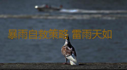 暴雨自救策略 雷雨天如何保安康