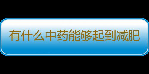 有什么中药能够起到减肥的效果呢？