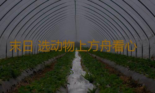 末日 选动物上方舟看心理状态