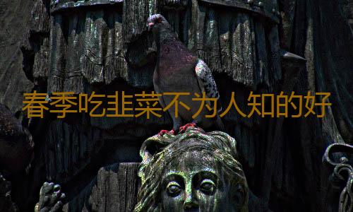 春季吃韭菜不为人知的好处