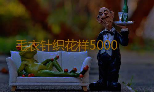 毛衣针织花样5000