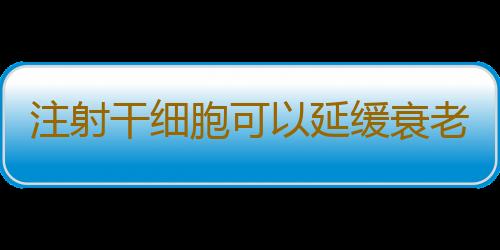 注射干细胞可以延缓衰老三倍