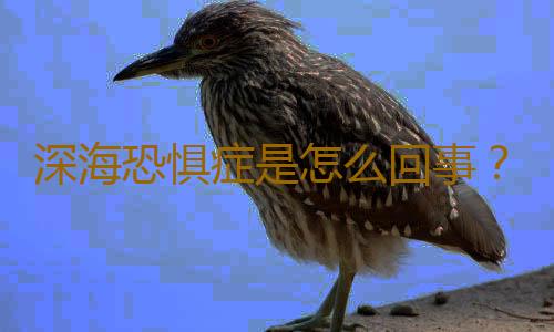 深海恐惧症是怎么回事？