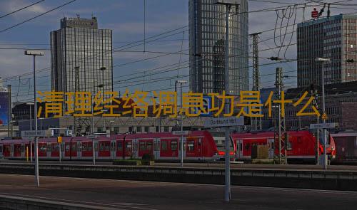 清理经络调息功是什么