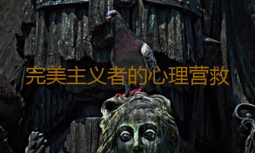 完美主义者的心理营救