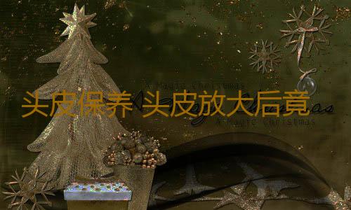 头皮保养 头皮放大后竟让人不敢看