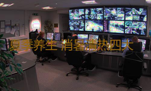 夏季养生 消暑清热四大方案