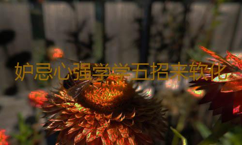 妒忌心强学学五招来软化