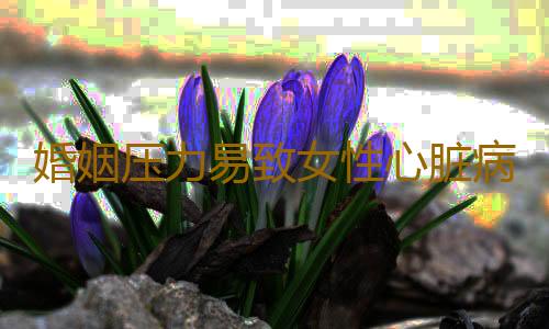 婚姻压力易致女性心脏病发