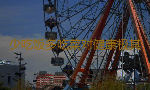少吃饭多吃菜对健康极其不利