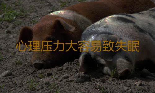 心理压力大容易致失眠