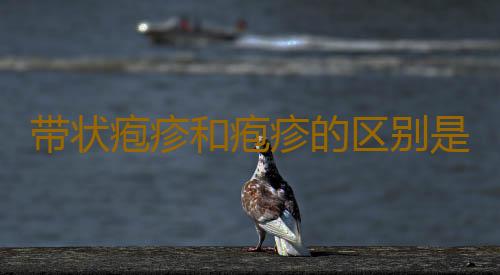 带状疱疹和疱疹的区别是什么？