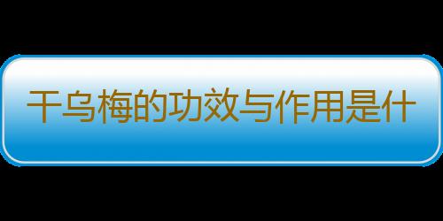 干乌梅的功效与作用是什么