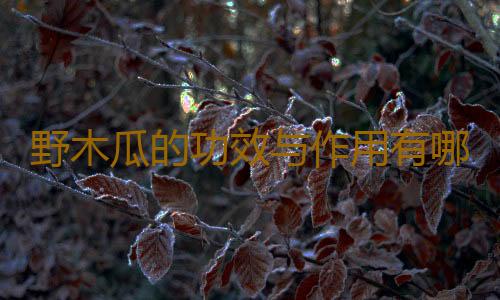 野木瓜的功效与作用有哪些