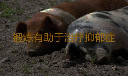 锻炼有助于治疗抑郁症